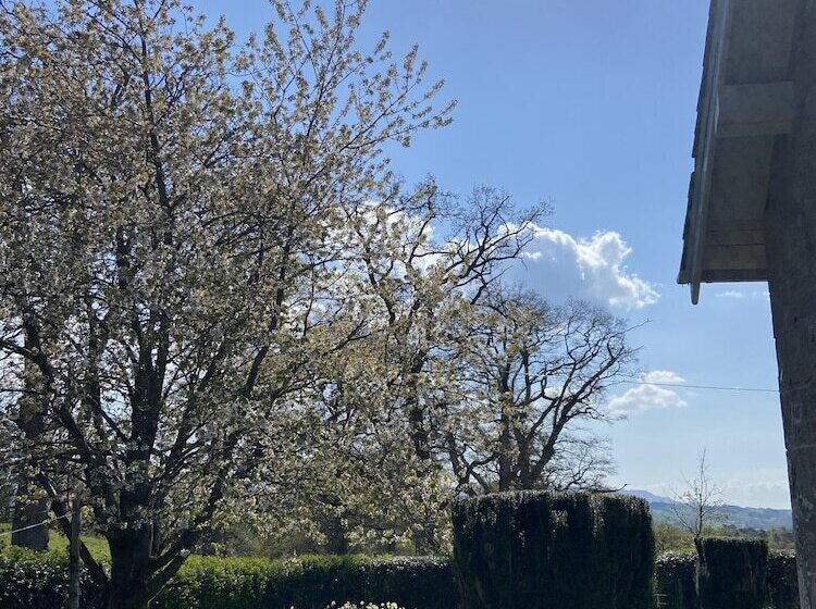 Cardross Estate Holiday Cottages