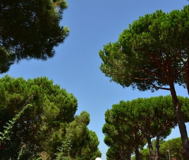 酒店 Maïana Resort