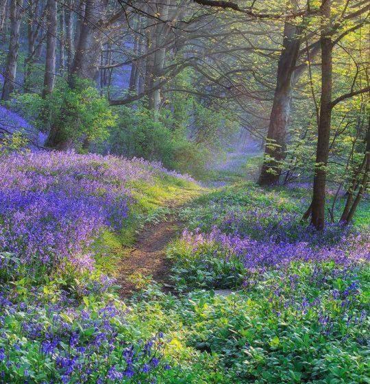 پانسیون Heritage View Guest House