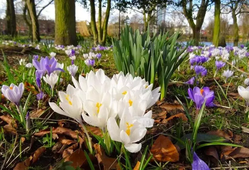 Majatalo Heritage View Guest House