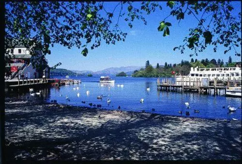 پانسیون Laurel Cottage Bowness