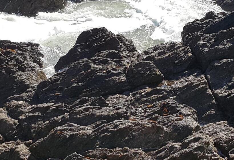 膳宿费 Villa Magdanic