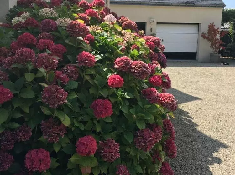 Majatalo Villa Magdanic