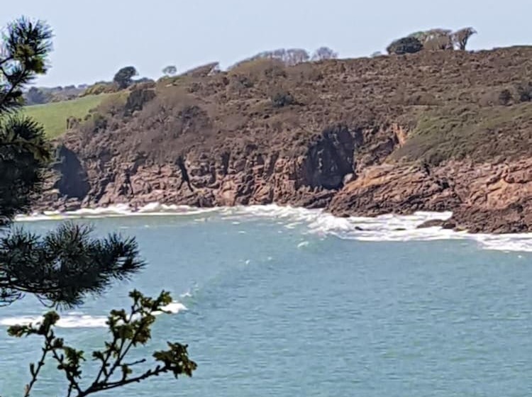 膳宿费 Villa Magdanic