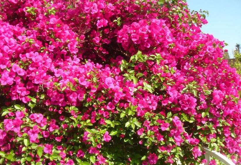 Villa With Private Beach  Villa Lou Cade