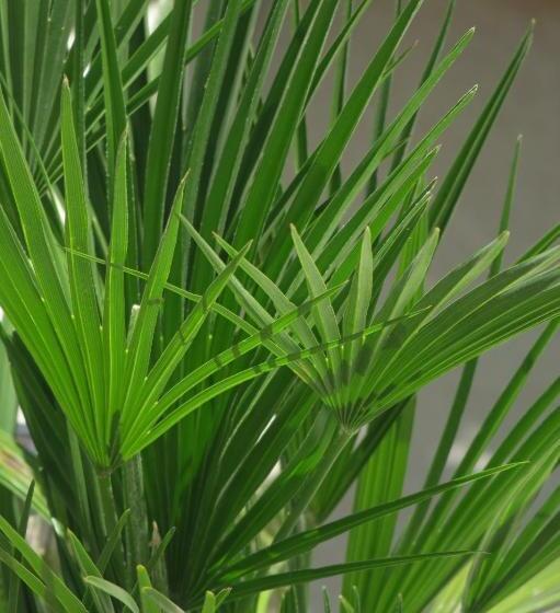 B&b Le Patio En Ville   Chambres D Hôtes