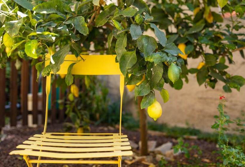 צימר La Tour Du Terroir