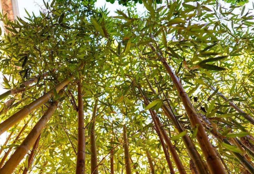 צימר La Tour Du Terroir