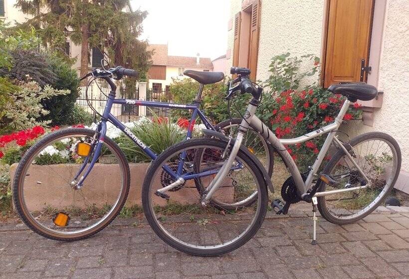 مبيت وإفطار Chambres Au Pied Du Haut Koenigsbourg