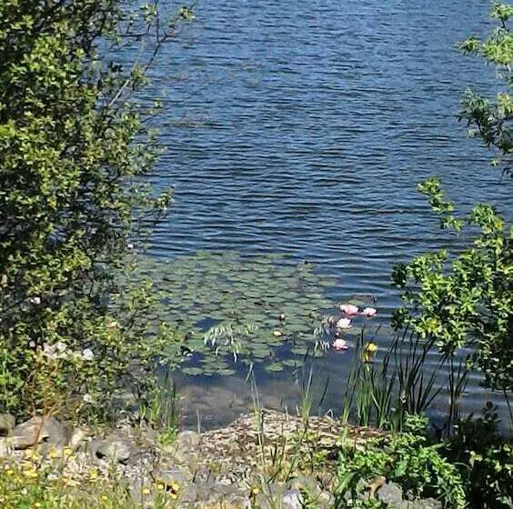 Cist Domaine D'ariane