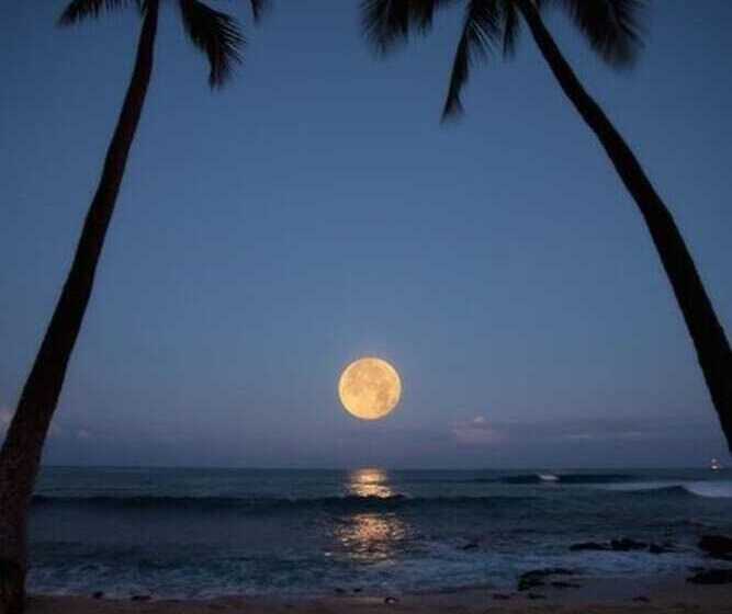 Hawaii S Hidden Hideaway Bed & Breakfast