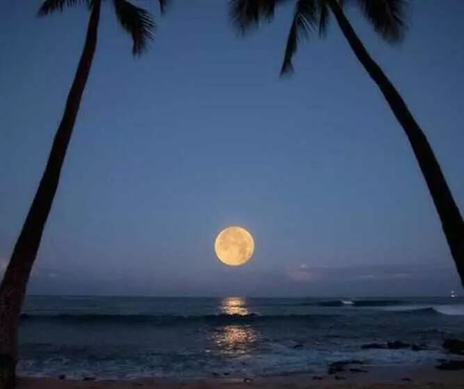 Hawaii S Hidden Hideaway Bed & Breakfast