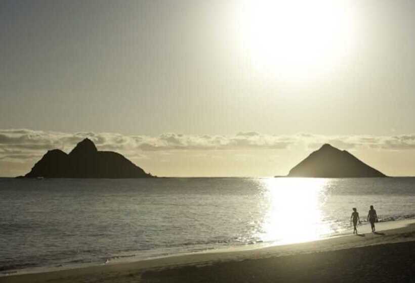 Hawaii S Hidden Hideaway Bed & Breakfast