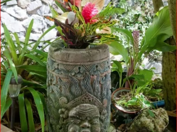 Hawaii S Hidden Hideaway Bed & Breakfast