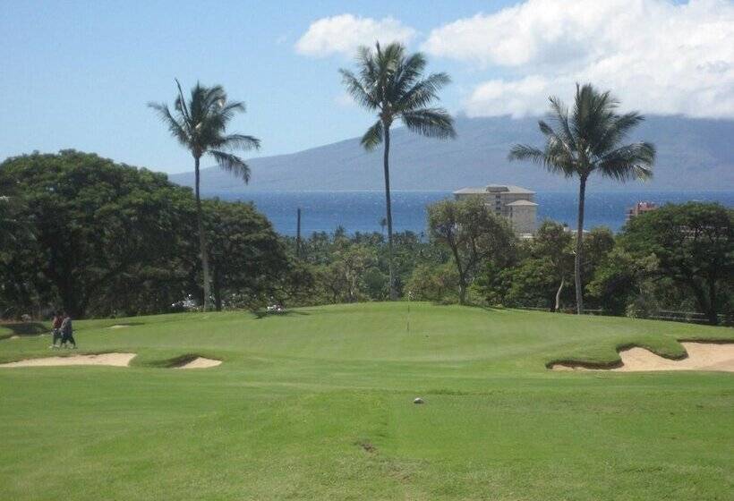 Hawaii S Hidden Hideaway Bed & Breakfast