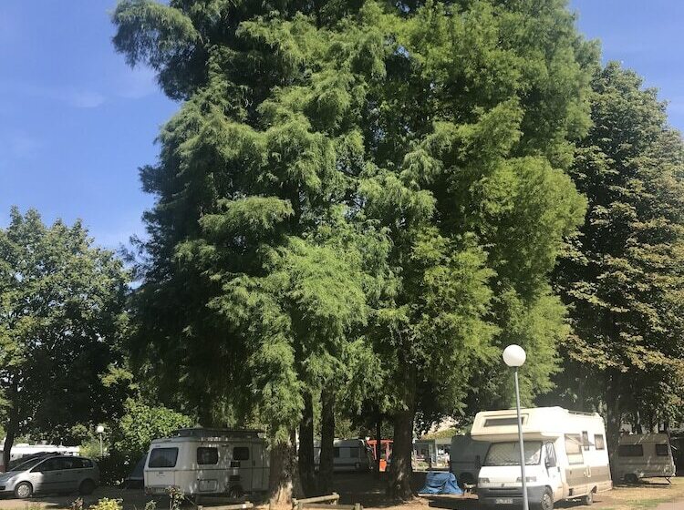 فندق Camping Le Rochat