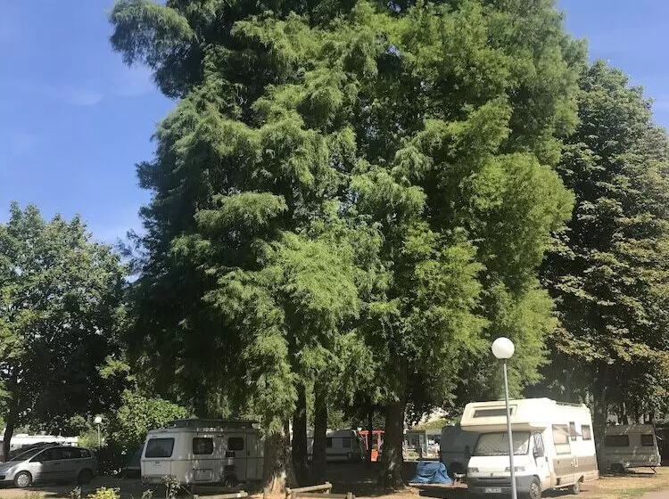 هتل Camping Le Rochat