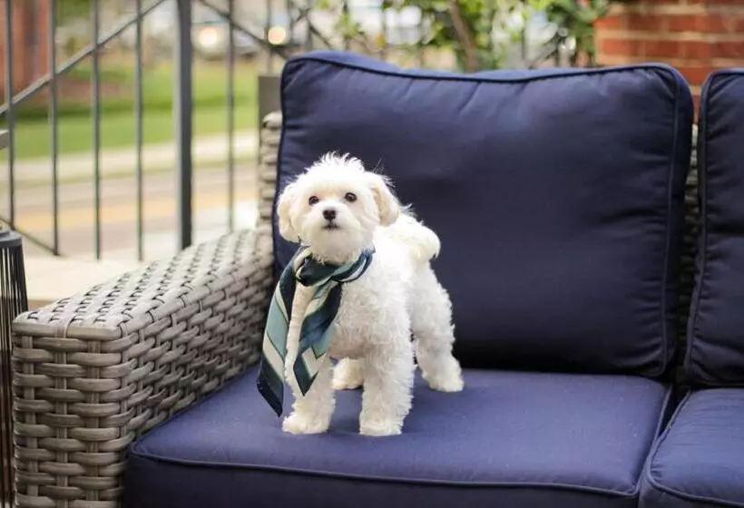 ホテル The Oliver, Oxford