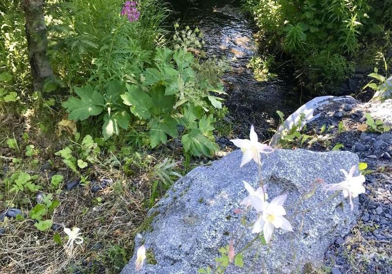 فندق Twin Peaks Lodge And Rv Park