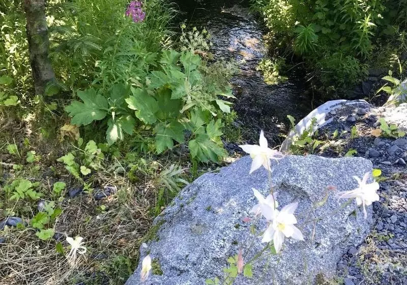 Hotelli Twin Peaks Lodge And Rv Park