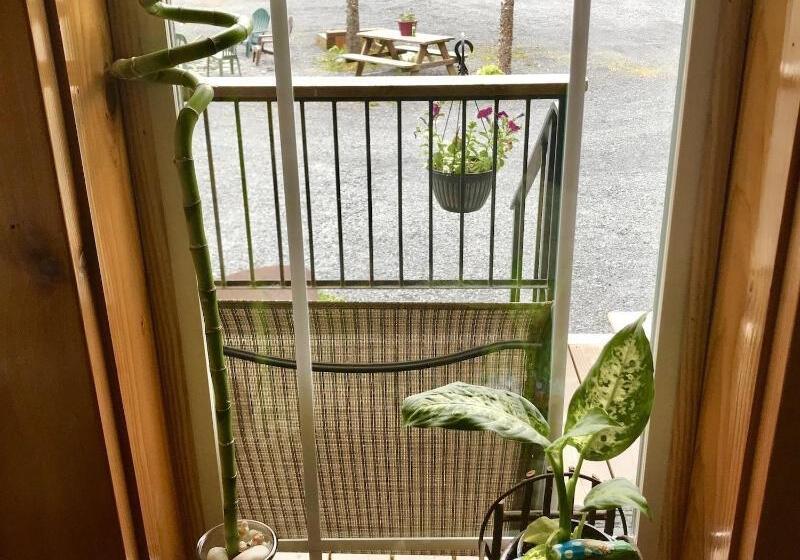 فندق Twin Peaks Lodge And Rv Park