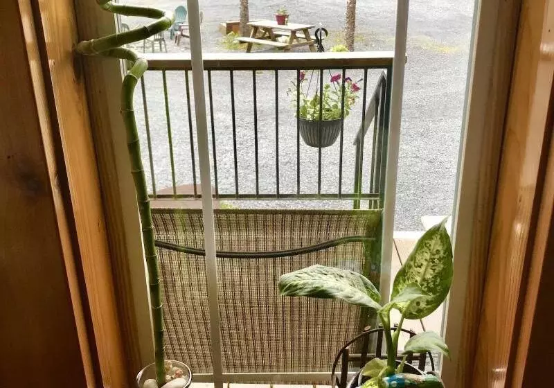 Hotelli Twin Peaks Lodge And Rv Park