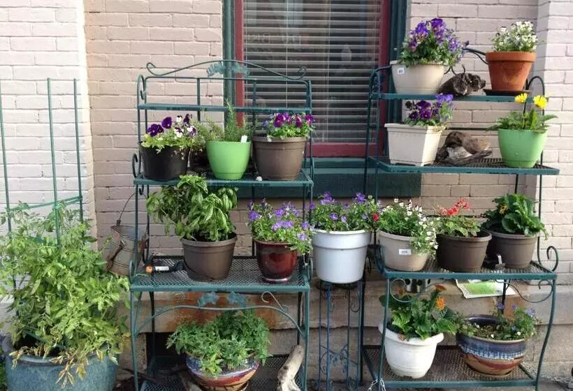 Main Street Bed & Breakfast