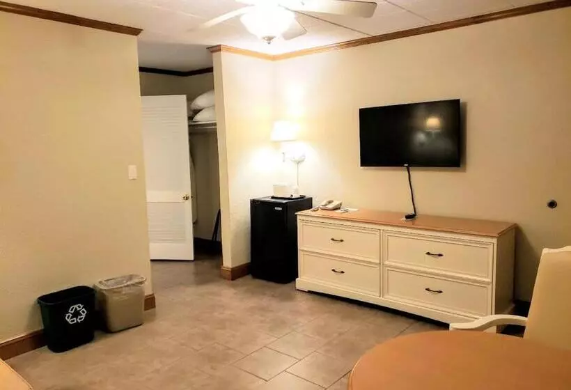 Motelli Avondale By The Sea