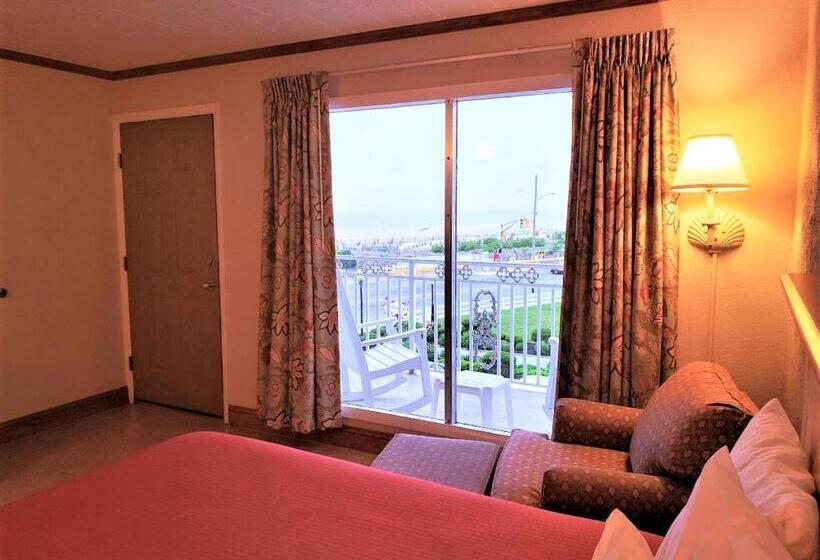 モーテル Avondale By The Sea