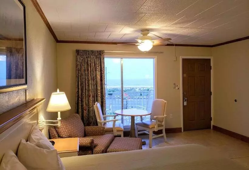 Motelli Avondale By The Sea