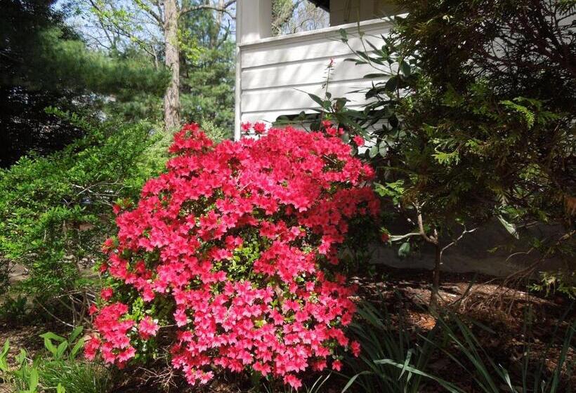 Oakland Cottage Bed And Breakfast