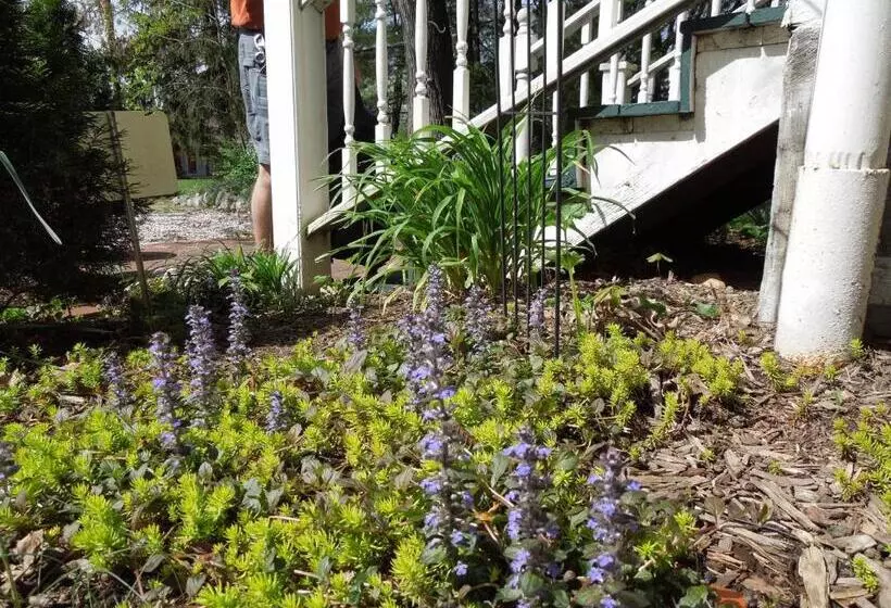 Oakland Cottage Bed And Breakfast