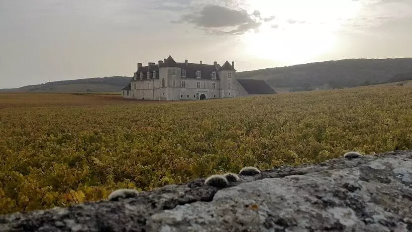 Aamiaismajoitus (B&B) Les Plumes