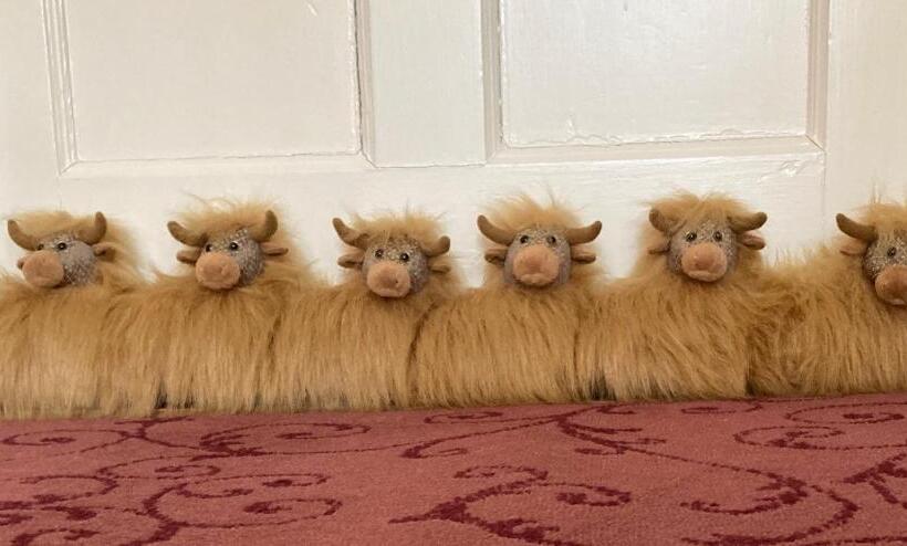 Bedrule Old Manse B&b