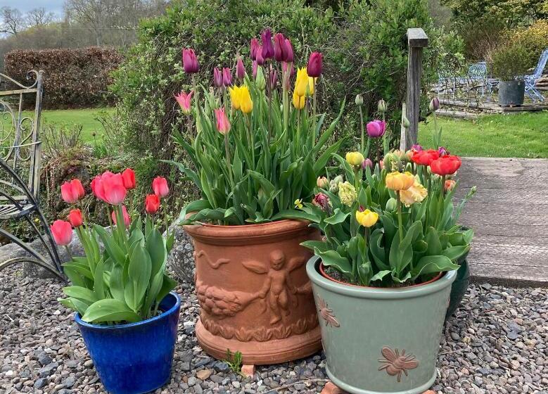 Bedrule Old Manse B&b