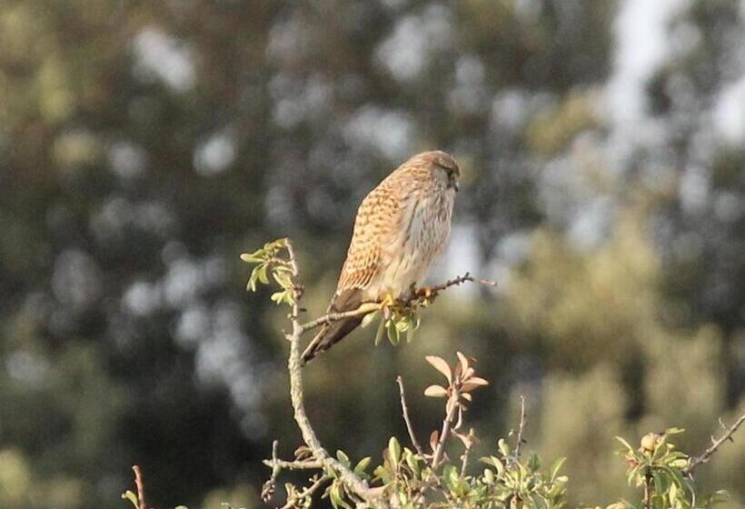 호텔 Domaine De Campras B&b