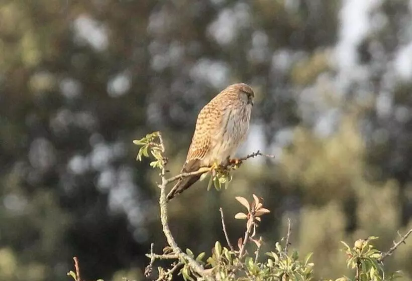 Hotelli Domaine De Campras B&b