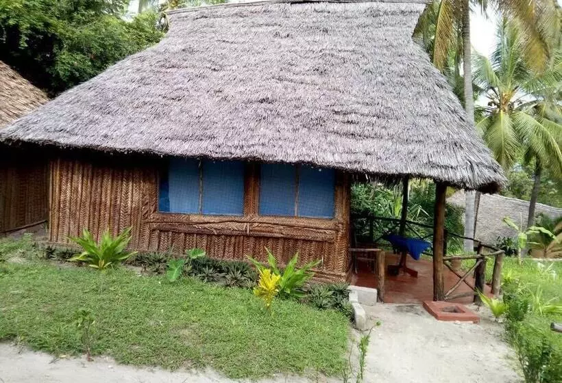 هتل Mafia Beach Bungalows