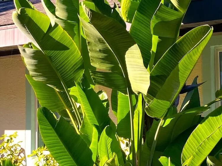 Hotelli Retreat At Crystal Manatee