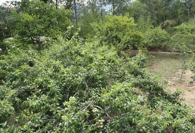 پانسیون Sunny Garden