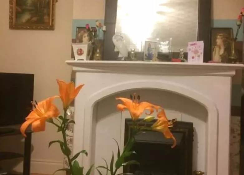 پانسیون Ucc B & B