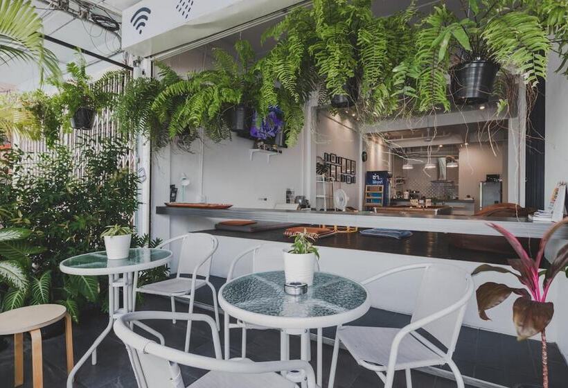 White Wall Poshtel   Hostel