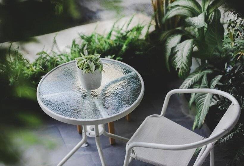 White Wall Poshtel   Hostel