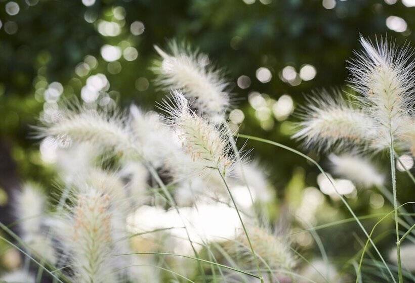 민박 La Bastide Des Enquèses