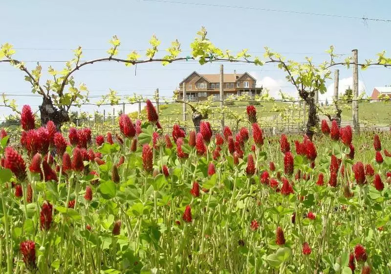 Aamiaismajoitus (B&B) Youngberg Hill