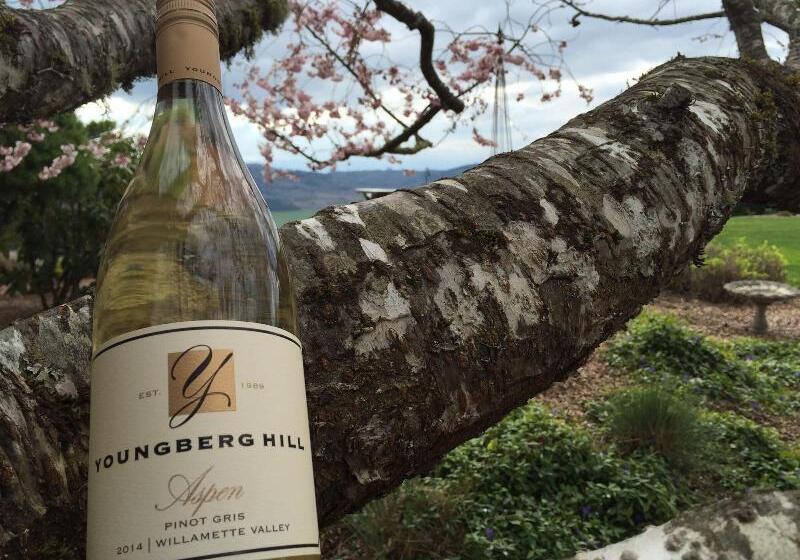 민박 Youngberg Hill