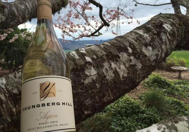 Aamiaismajoitus (B&B) Youngberg Hill