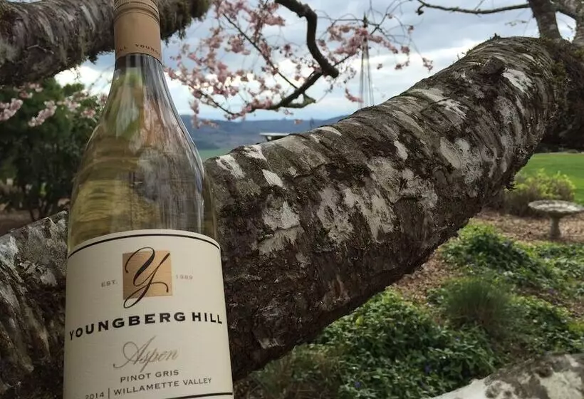 Aamiaismajoitus (B&B) Youngberg Hill