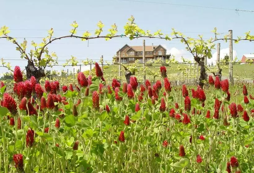 Aamiaismajoitus (B&B) Youngberg Hill