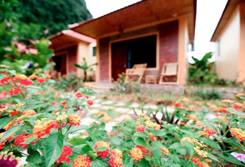 هتل An Ngoc Tam Coc Bungalow